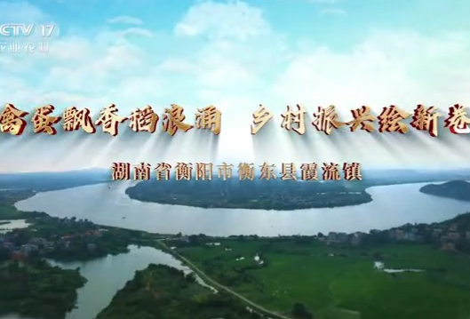 视频｜衡东：禽蛋飘香稻浪涌 乡村振兴绘新卷