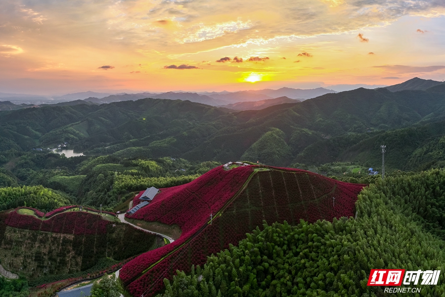 水源山花海1 胡浩摄.jpg