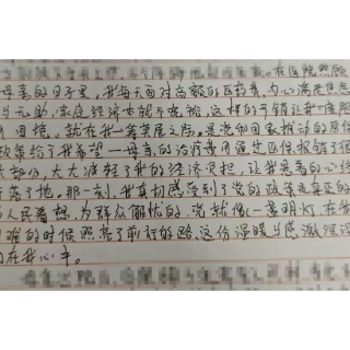 沅陵大合坪乡“00后”农村小伙入党申请书背后的民生温度