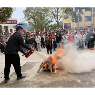 溆浦深子湖镇开展“119”消防安全知识宣传活动