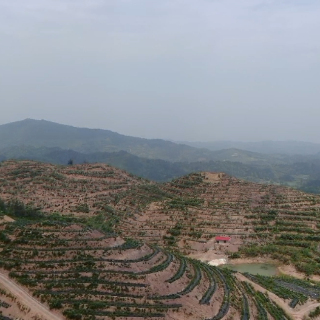 “三权分置”激活力 中方承包地改革结硕果