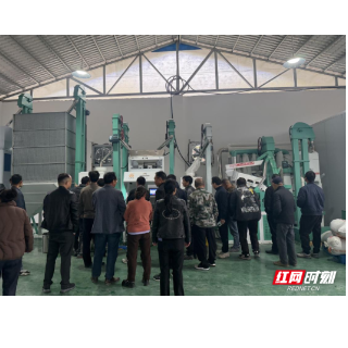 小米粒带动大产业,会同农文旅融合再添新活力