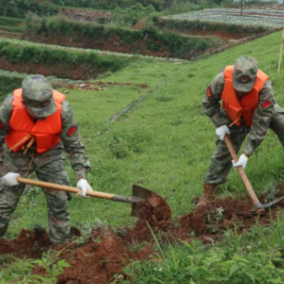 退役不褪色 战场永不落幕——新晃退役军人黄杏的担当与坚守