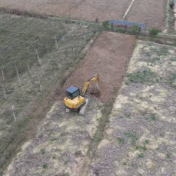 中方县:闲置地上忙冬耕 冬闲田变“致富园”