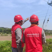 溆浦县供电公司:“人技协同”特巡防护 筑牢电网安全屏障