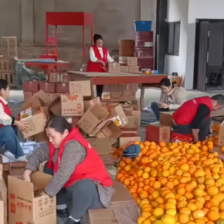 辰溪县:爱心义卖搭桥梁志愿服务助橙香