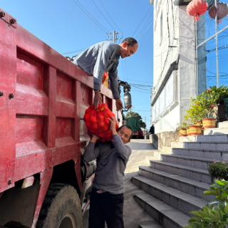 以购代捐,暖心行动——两万斤脐橙变成“救命钱”