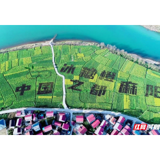 强力推动麻阳柑橘产业的破局与重塑——赴秭归、忠县、丹棱考察柑橘产业发展报告