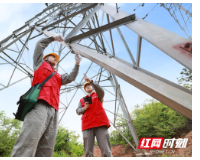 沅陵县供电公司： 线路特巡 筑牢设备“安全网”