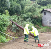 防汛一线丨以“汛”为令 麻阳“电力勇士”快速抢修复电暖民心