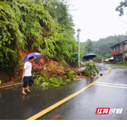 防汛一线丨通道：闻“汛”而动 全员下沉筑牢防汛“安全堤”