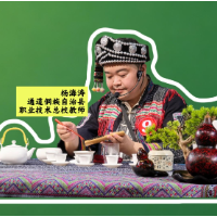 杨海涛：用独具魅力的侗族文化 讲好茶的故事丨视频·怀化市第二届茶行业职工职业技能竞赛②