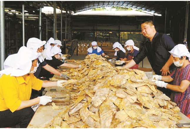 “山当田耕，竹当菜种”——桃江县返乡兴业的故事