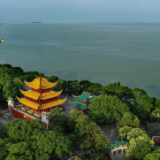 守护一江碧水丨163公里长江岸线如何长出一座“绿色长城”