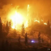加拿大西部森林火灾持续 居民紧急疏散
