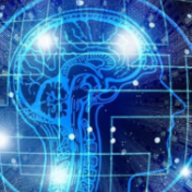 插上智能化翅膀,湖南“智赋万企”行动“期中考”成绩如何?