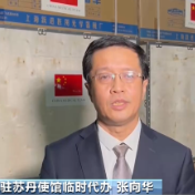 中国向苏丹政府交付人道援助物资