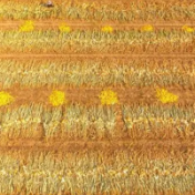 今年全球谷物产量预计将接近历史最高纪录