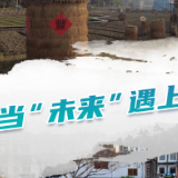 【理响中国·人民至上@中国式现代化】海报｜未来乡村踏“云”而来