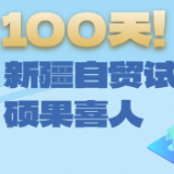 数说“新”变化丨100天！新疆自贸试验区硕果喜人