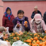青海地震受灾民众：年货已备齐 现在很安心