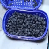 订单增长超1600%！蓝莓成水果“销冠”