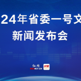 2023年湖南粮食总产613.6亿斤 比上年增加10亿斤｜省委一号文件新闻发布会①