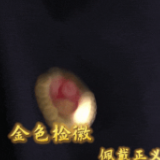 首部！震撼上线！