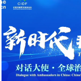 新时代，我看中国丨巴基斯坦驻华大使高度评价中巴经济走廊成果：这些数字说明了一切