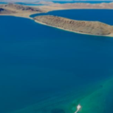 走近高原“精灵”的守护者