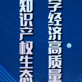 让知产力绽放新质生产力丨建设高质量知识产权生态 畅通数字经济高质量发展轨道