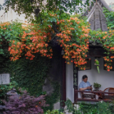 文化中国行|扬州东关街:宅园遍布 诗意如初