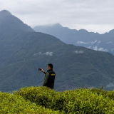 西藏墨脱：茶园飘香富山民
