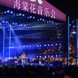 了不起的老城丨以花为“媒”——老街区焕发文旅新活力