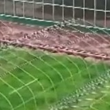 在希望的田野上丨奋起争春!各地按下春耕备耕“农忙”键