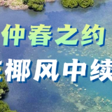 仲春之约 跨越山海——在椰风中续写中密奇缘