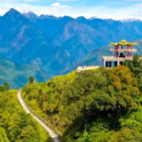 西藏墨脱：“小茶叶”成致富“金叶子”