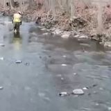 美国“毒火车”事故破坏超预期 16个州被污染