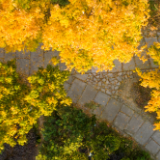 何以中国·运载千秋丨这条河竟是浙东运河宁波段遗产！现在到了最美的时候