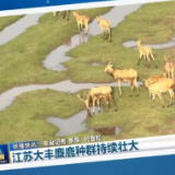 突破8000头！联播一瞬带您见证这一生态奇迹