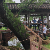 湖南省林业局：防汛一线 筑牢生命与生态双重防线
