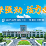 开门红！望城经开区2025年一季度经济数据出炉→