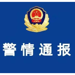 警情通报|氐星治安依法快处一起妨害公务案两名犯罪嫌疑人被刑事拘留