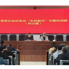 强化党员教育 助力乡村振兴|娄星区杉山镇开展2025年度农村党员“乡村振兴”专题培训