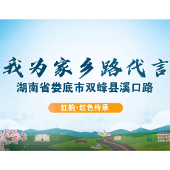 我为湖南省娄底市双峰县溪口路代言|王文红:溪口路是历史的见证者,更是振兴的领航者