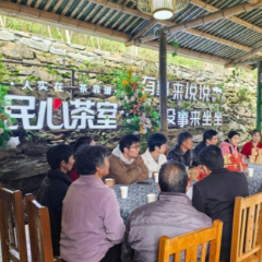 人民民主在基层丨新化县：奉家镇人大创新基层治理实践 泡好基层民主“四杯茶”