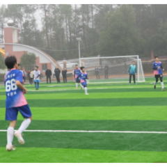 娄底校园足球再升级：今年“校超”设6大赛区 150余个足球场将换新颜