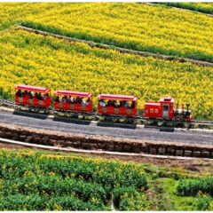 视频｜双峰：油菜花开游客来 乡村旅游“热”力足