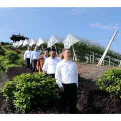 曾超群赴冷水江市调研基层党建重点工作