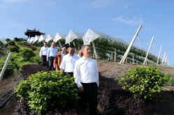 曾超群赴冷水江市调研基层党建重点工作